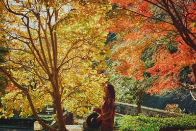 「布引の紅葉」の中で優雅に過ごす(3)