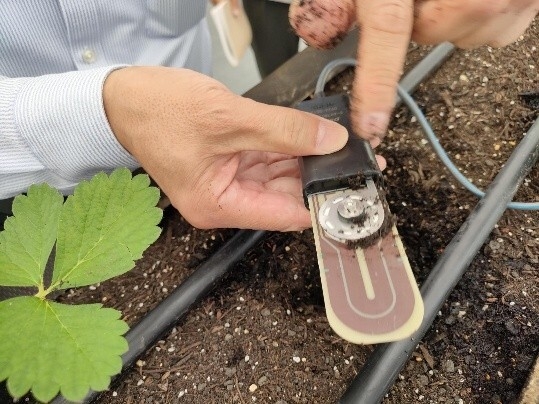 デンソー×DPT(2)