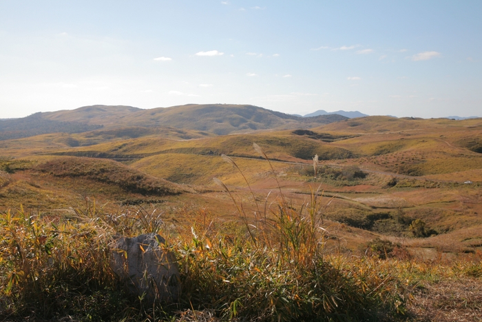 日本最大級のカルスト台地「秋吉台」(秋冬)