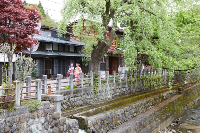 涼げな江名子川沿いでは夏の涼を♪