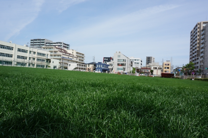 町田シバヒロ