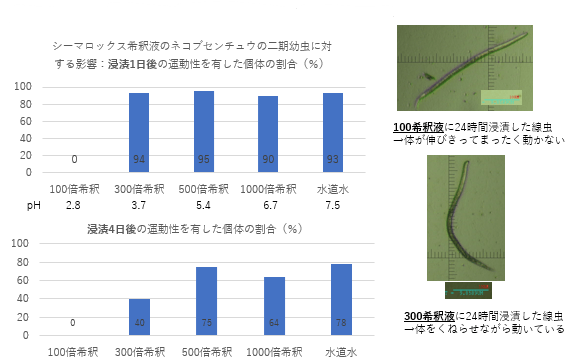 サツマイモネコブセンチュウに対する影響