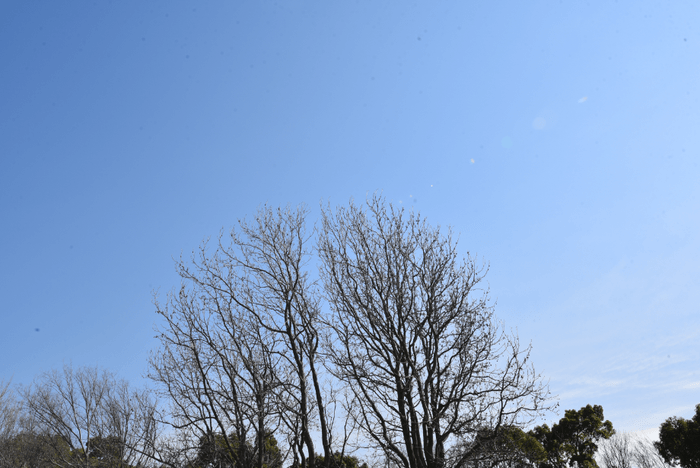 サングラス使用前