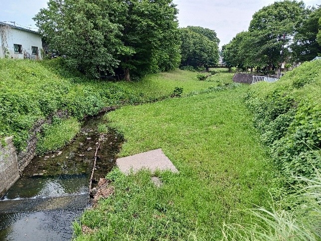 「和泉川 三ツ境・二ツ橋水辺公園で生き物観察」の会場(予定)