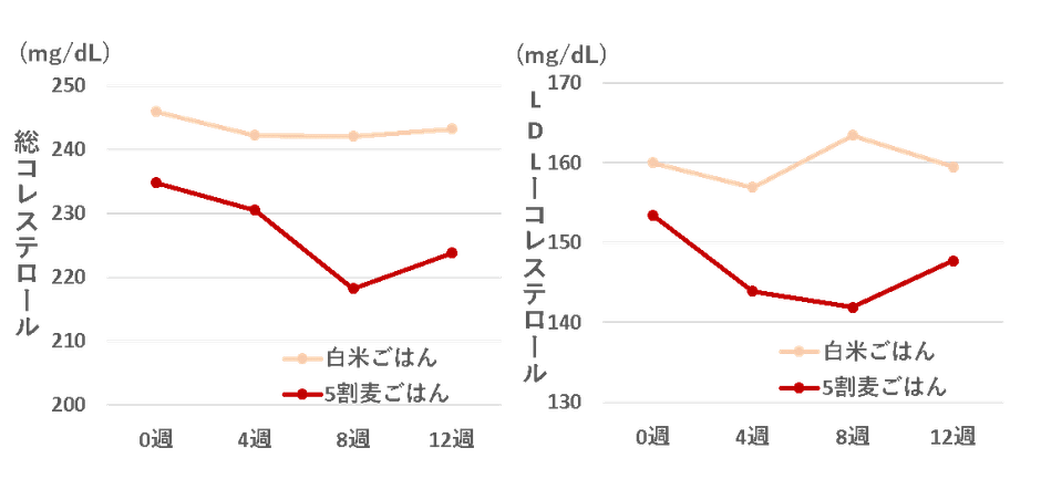 (Plant Foods Hum Nutr, 63, 1, 2 1-25, 2008)