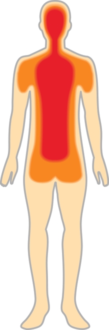図5 深部体温のイメージ