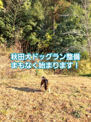 ドッグラン予定地