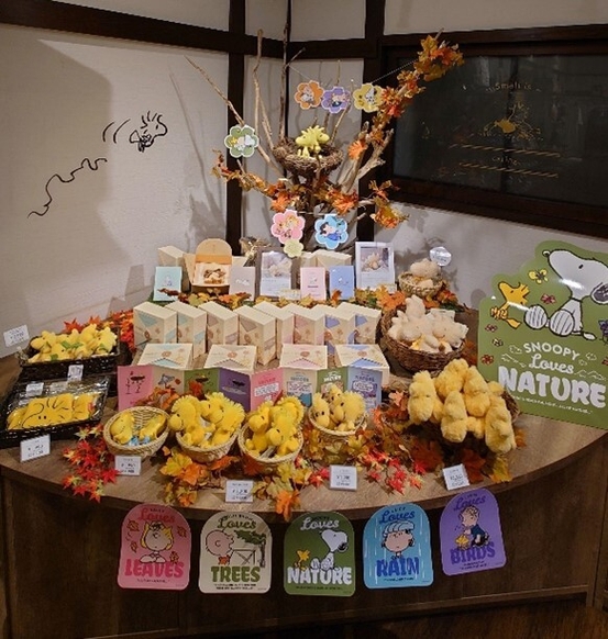 WOODSTOCK NEST Sweets & Goodies京都・錦