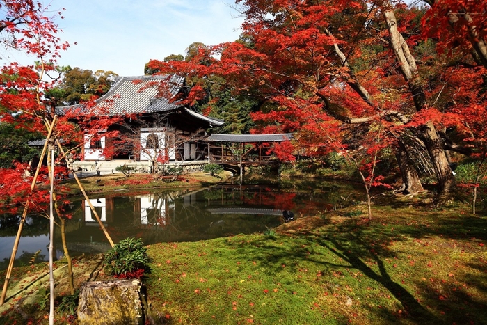 高台寺イメージ