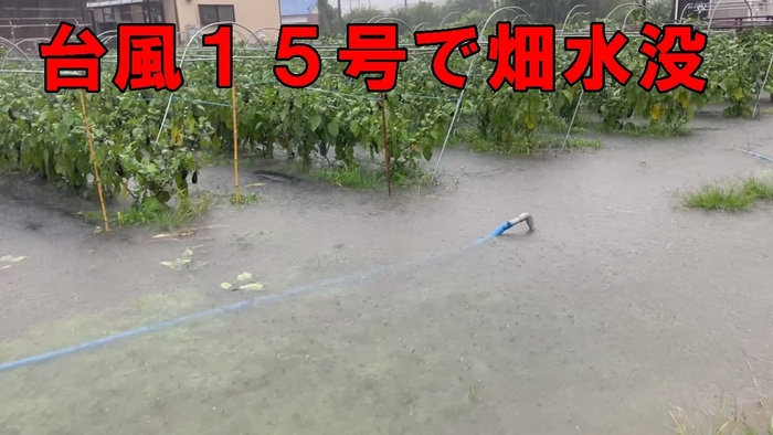台風で畑水没