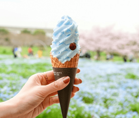 ▲ネモフィラソフト(イメージ)