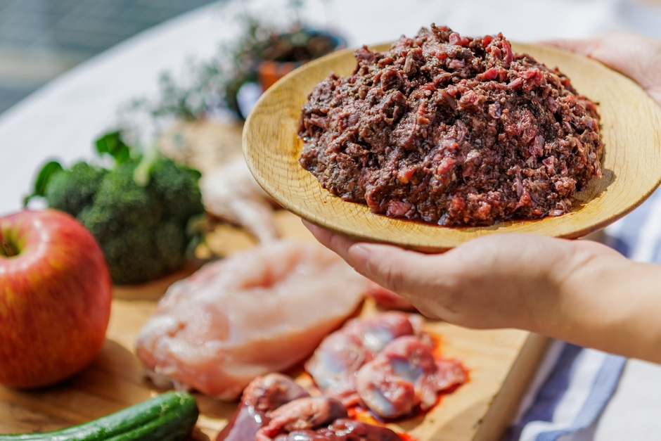 犬猫の自然食HUGBOX