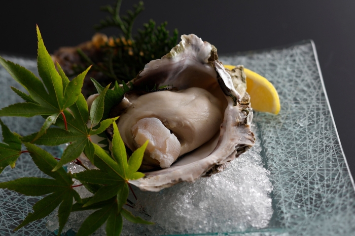 【旬のひと品|夏一例】日本海が育んだ、濃厚な夏の一雫。舞鶴産『岩ガキ』