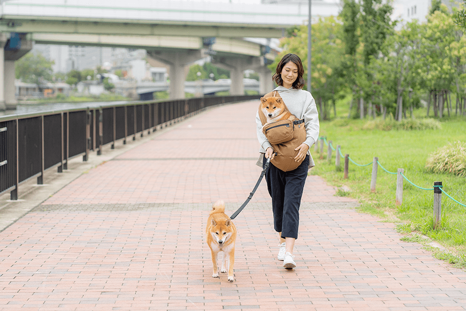 肩掛けリードとしてもお使いいただけます 