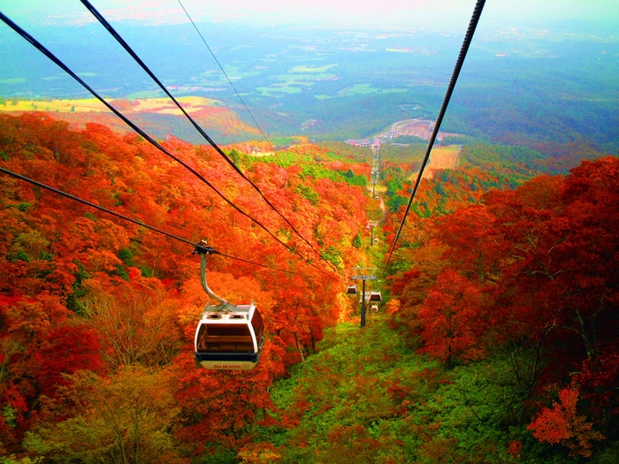 紅葉ゴンドラと那須高原