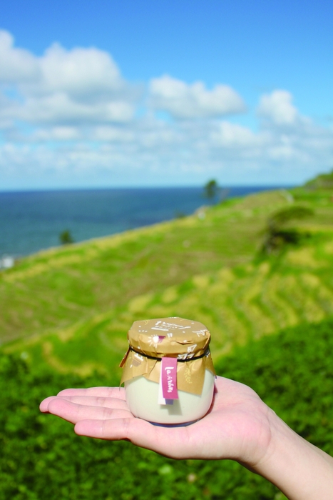 輪島プリン千枚田のお米 3