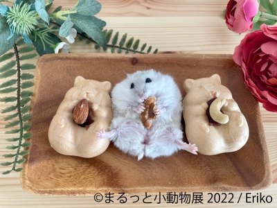 展示作品4