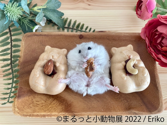 展示作品4