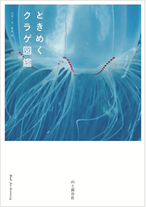 ときめくクラゲ図鑑