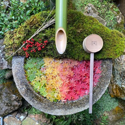 季節の花手水8