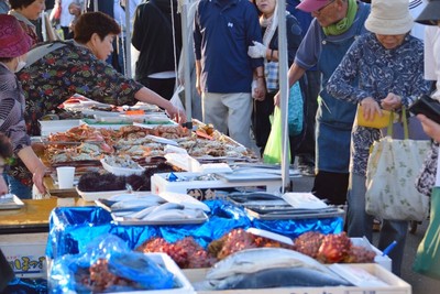 館鼻岸壁朝市 風景その他(1)
