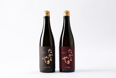 prototype2本2
