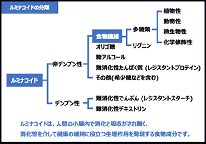 ルミナコイドの分類