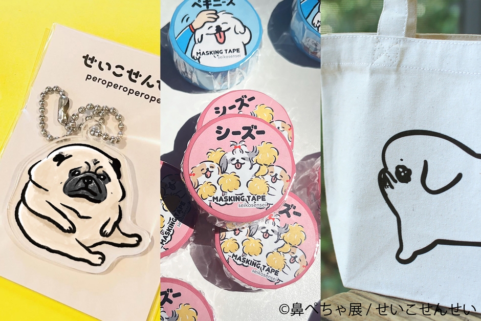 グッズ：せいこせんせい