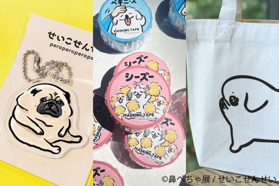 グッズ:せいこせんせい