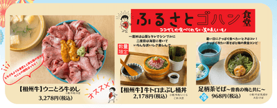 ふるさとゴハン食堂