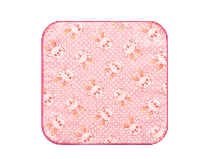 ミニタオルC (イワシカがいっぱい)