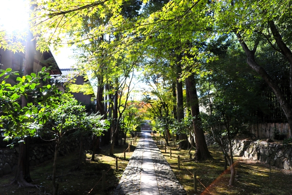 参道 （２０２３/１０/23撮影）