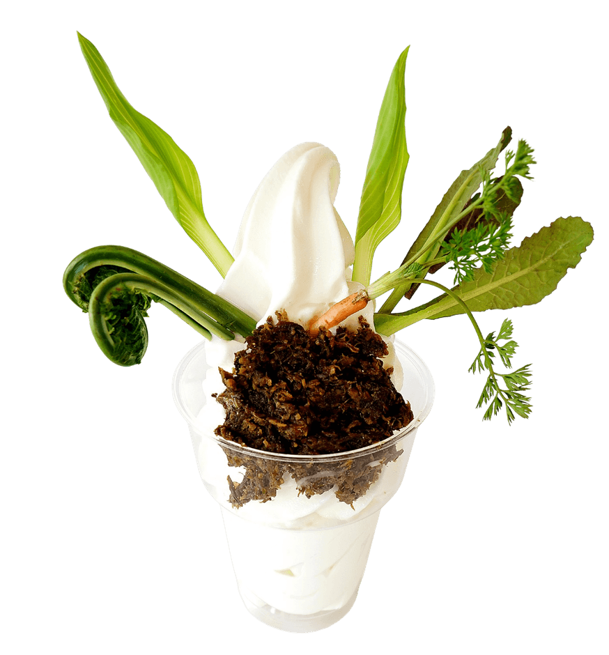 山菜ソフトクリーム