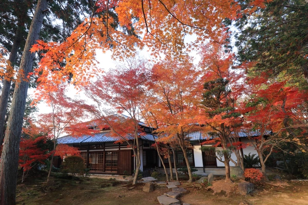 通常非公開・東福寺塔頭「正覚庵」秋の特別拝観を 11月25日(金)～12月11日(日)に開催