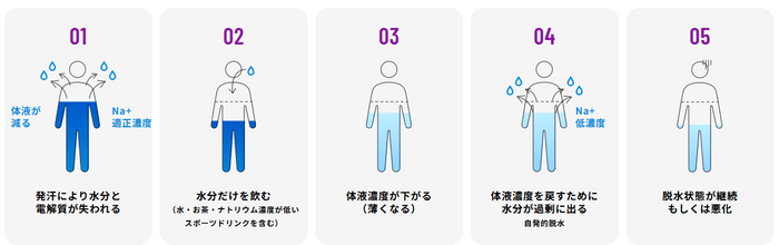 汗をかいたとき、電解質の入っていない飲料だけを飲んでいると