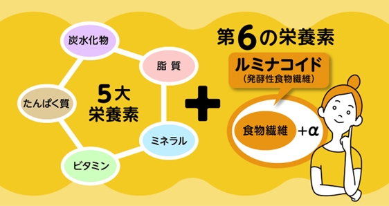 第六の栄養素 ルミナコイド