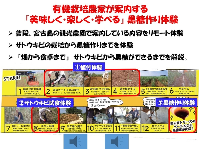 資料抜粋 製糖工程