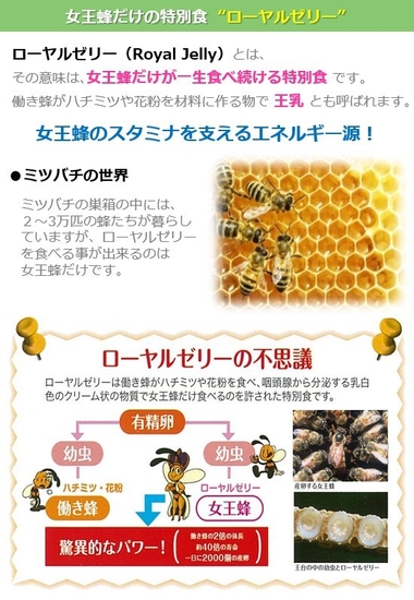 ローヤルゼリーとは?