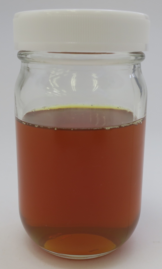 ジンジャーエキスNE