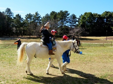 ポニー乗馬体験コーナー(過去の様子)