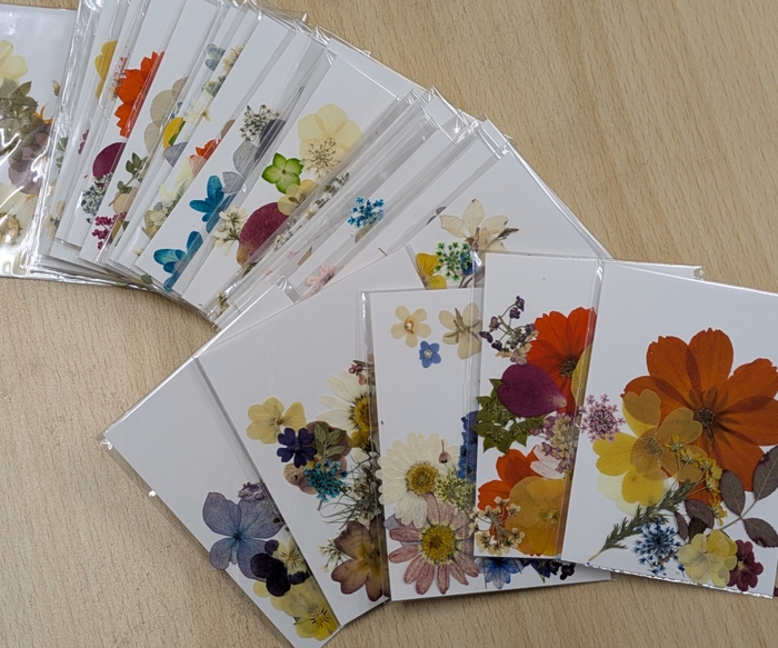新規入会プレゼント(押し花しおり~工作キットの一部)