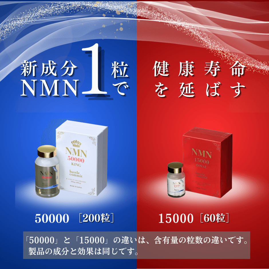 NMN「ハッスルコミット」の魅力