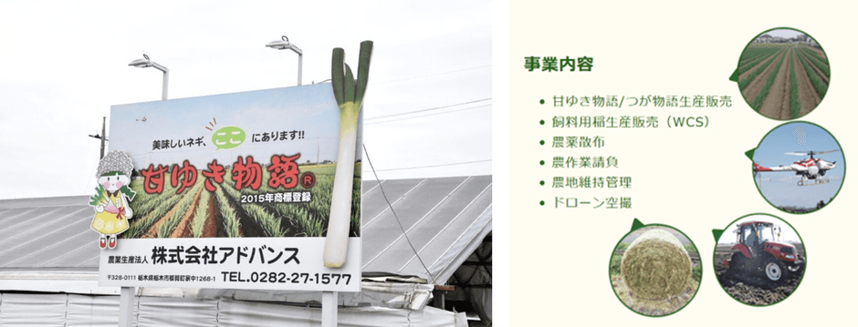 アドバンス社について