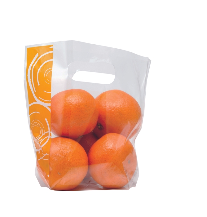 サンバッグLILLY オレンジ オレンジ