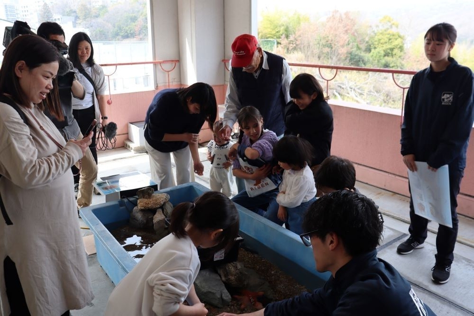 海の生き物に触ってみる子どもたち