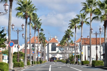 館山市でワーケーション受入体制を強化