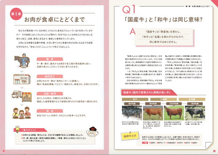 「お肉の食育Q＆A」中面ページ