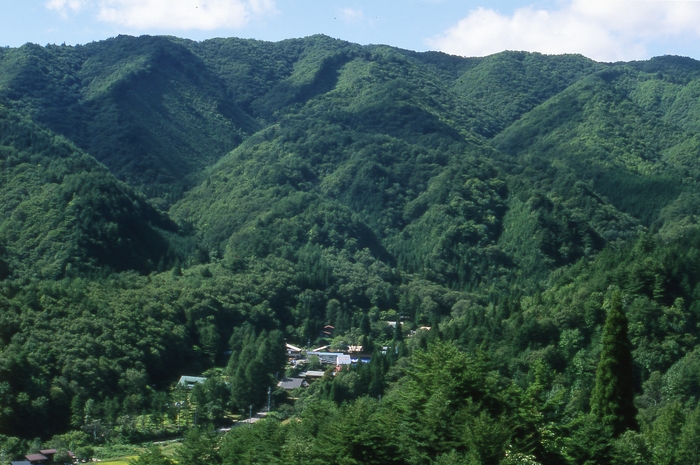 緑に囲まれたオークヴィレッジ全景