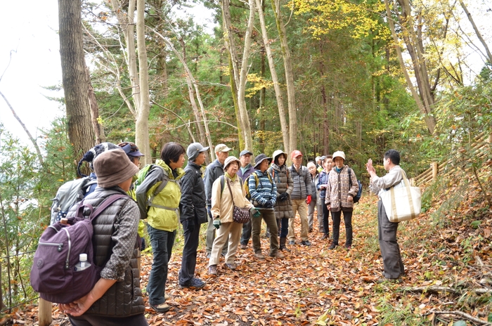散策の途中、つど解説が入ります