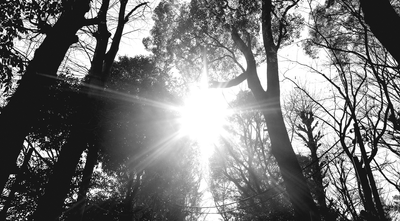 light1